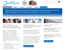 Tablet Screenshot of klinika.cukrzyca.pl